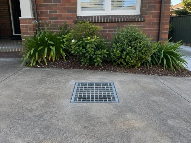 Concrete driveway with a square stormwater grate beside garden shrubs and a brick house in Haberfield